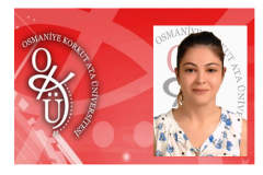 Akademik Yükselme